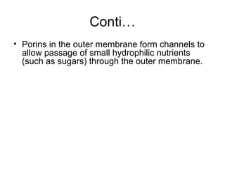 Conti…
• Porins in the outer membrane form channels to
allow passage of small hydrophilic nutrients
(such as sugars) through the outer membrane.
 