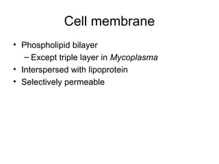 Cell membrane
• Phospholipid bilayer
– Except triple layer in Mycoplasma
• Interspersed with lipoprotein
• Selectively permeable
 