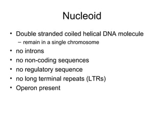 Nucleoid
• Double stranded coiled helical DNA molecule
– remain in a single chromosome
• no introns
• no non-coding sequences
• no regulatory sequence
• no long terminal repeats (LTRs)
• Operon present
 