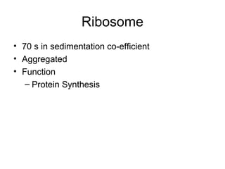Ribosome
• 70 s in sedimentation co-efficient
• Aggregated
• Function
– Protein Synthesis
 