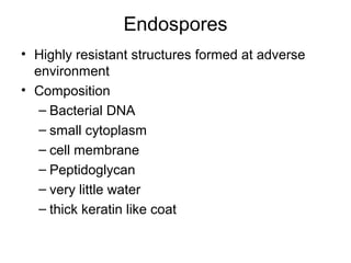 Endospores
• Highly resistant structures formed at adverse
environment
• Composition
– Bacterial DNA
– small cytoplasm
– cell membrane
– Peptidoglycan
– very little water
– thick keratin like coat
 