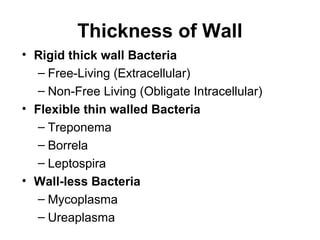 Thickness of Wall
• Rigid thick wall Bacteria
– Free-Living (Extracellular)
– Non-Free Living (Obligate Intracellular)
• Flexible thin walled Bacteria
– Treponema
– Borrela
– Leptospira
• Wall-less Bacteria
– Mycoplasma
– Ureaplasma
 