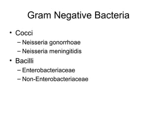 Gram Negative Bacteria
• Cocci
– Neisseria gonorrhoae
– Neisseria meningitidis
• Bacilli
– Enterobacteriaceae
– Non-Enterobacteriaceae
 