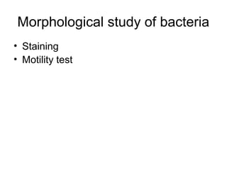 Morphological study of bacteria
• Staining
• Motility test
 