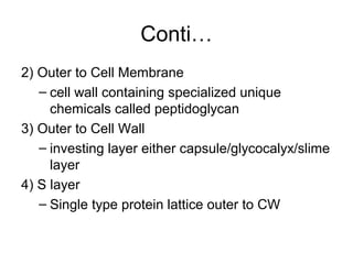 Conti…
2) Outer to Cell Membrane
– cell wall containing specialized unique
chemicals called peptidoglycan
3) Outer to Cell Wall
– investing layer either capsule/glycocalyx/slime
layer
4) S layer
– Single type protein lattice outer to CW
 