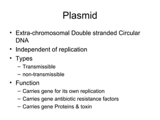 Plasmid
• Extra-chromosomal Double stranded Circular
DNA
• Independent of replication
• Types
– Transmissible
– non-transmissible
• Function
– Carries gene for its own replication
– Carries gene antibiotic resistance factors
– Carries gene Proteins & toxin
 