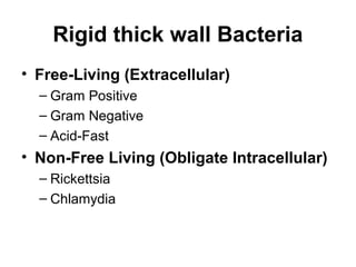 Rigid thick wall Bacteria
• Free-Living (Extracellular)
– Gram Positive
– Gram Negative
– Acid-Fast
• Non-Free Living (Obligate Intracellular)
– Rickettsia
– Chlamydia
 