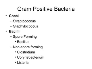 Gram Positive Bacteria
• Cocci
– Streptococcus
– Staphylococcus
• Bacilli
– Spore Forming
• Bacillus
– Non-spore forming
• Clostridium
• Corynebacterium
• Listeria
 