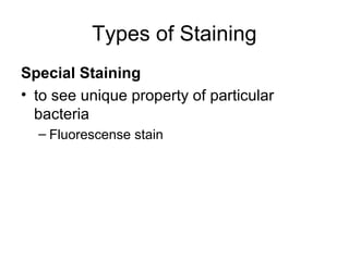 Types of Staining
Special Staining
• to see unique property of particular
bacteria
– Fluorescense stain
 