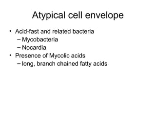 Atypical cell envelope
• Acid-fast and related bacteria
– Mycobacteria
– Nocardia
• Presence of Mycolic acids
– long, branch chained fatty acids
 