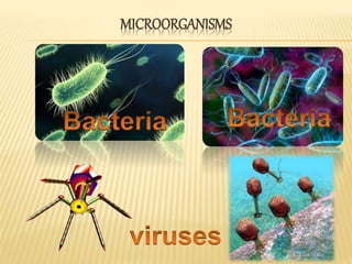 MICROORGANISMS
 