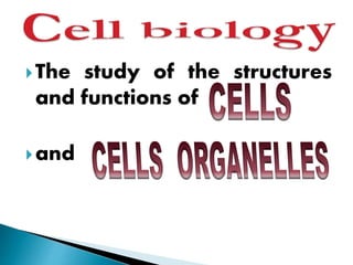 The study of the structures
and functions of
and
 