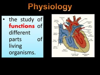 • the study of
functions of
different
parts of
living
organisms.
 