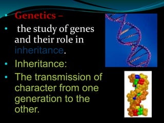 • Genetics –
• the study of genes
and their role in
inheritance.
• Inheritance:
• The transmission of
character from one
generation to the
other.
 