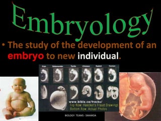 • The study of the development of an
embryo to new individual.
BIOLOGY TEAMS - SMAMDA
 