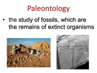 Paleontology
• the study of fossils, which are
the remains of extinct organisms
 