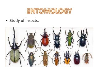 • Study of insects.
 