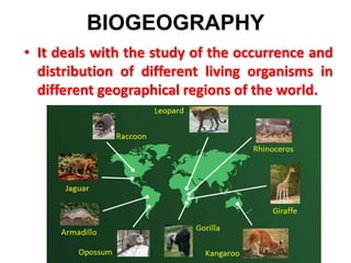 BIOGEOGRAPHY
• It deals with the study of the occurrence and
distribution of different living organisms in
different geographical regions of the world.
 