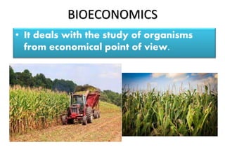BIOECONOMICS
• It deals with the study of organisms
from economical point of view.
 