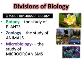 Divisions of Biology
• Botany – the study of
PLANTS
• Zoology – the study of
ANIMALS
• Microbiology- – the
study of
MICROORGANISMS
 