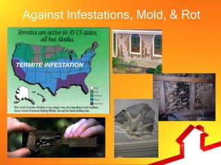 Against Infestations, Mold, & Rot
 