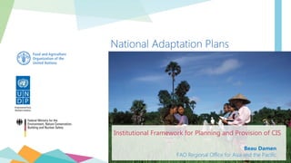 Institutional Framework for Planning and Provision of CIS
Beau Damen
FAO Regional Office for Asia and the Pacific
National Adaptation Plans
 