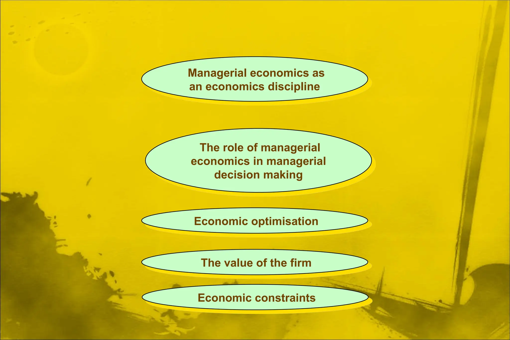 Economic optimisation
The value of the firm
Economic constraints
The role of managerial
economics in managerial
decision making
Managerial economics as
an economics discipline
 