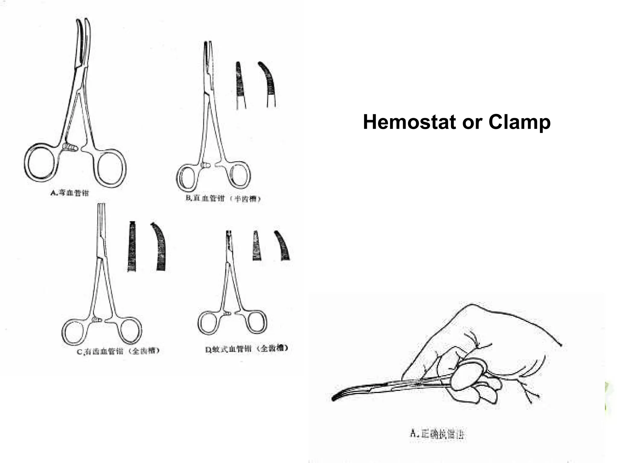 Hemostat or Clamp
 
