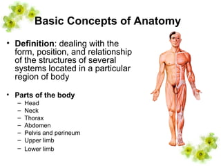 1 introduction of regional anatomy | PPT