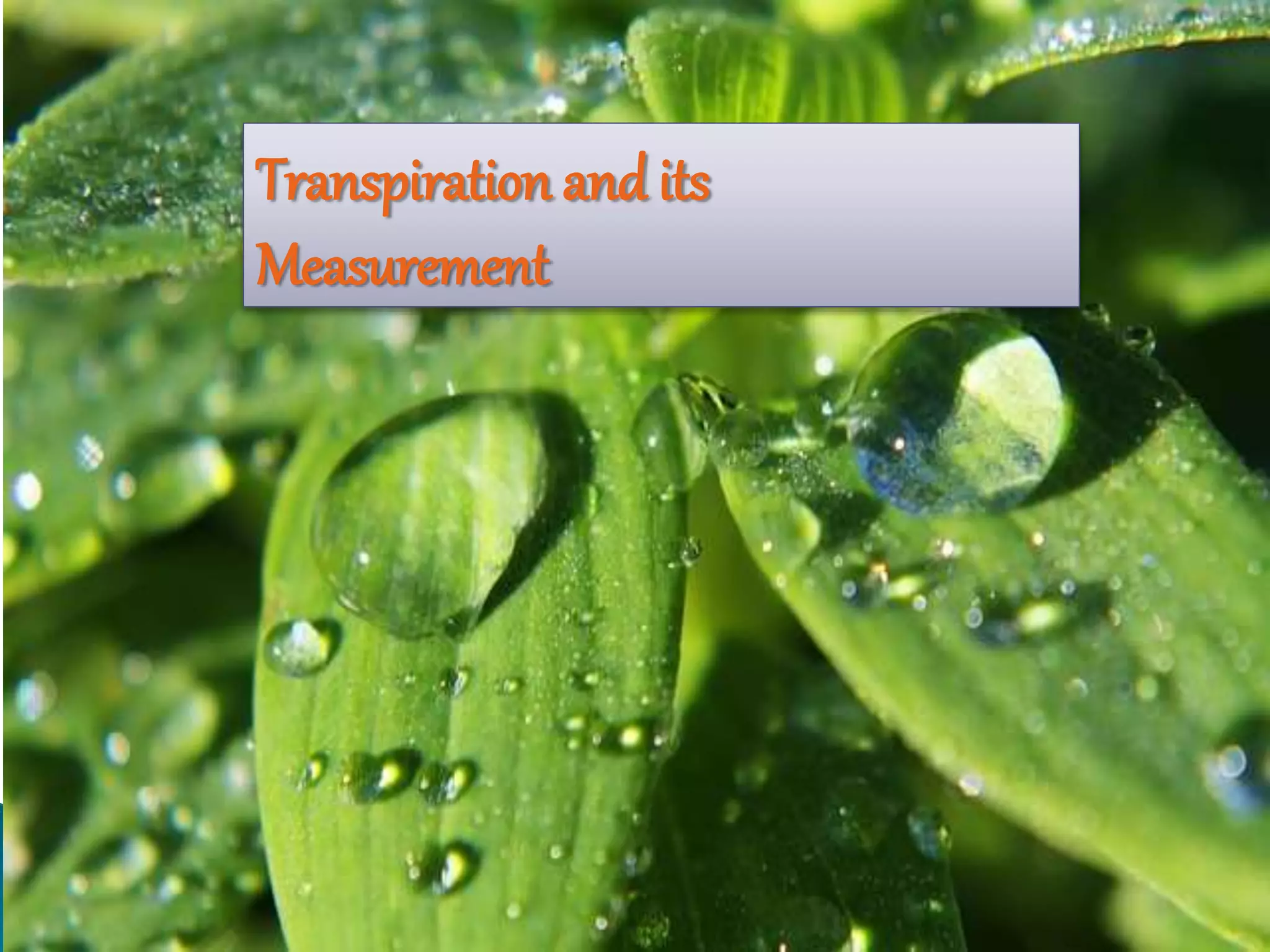 Transpiration and its
Measurement
 