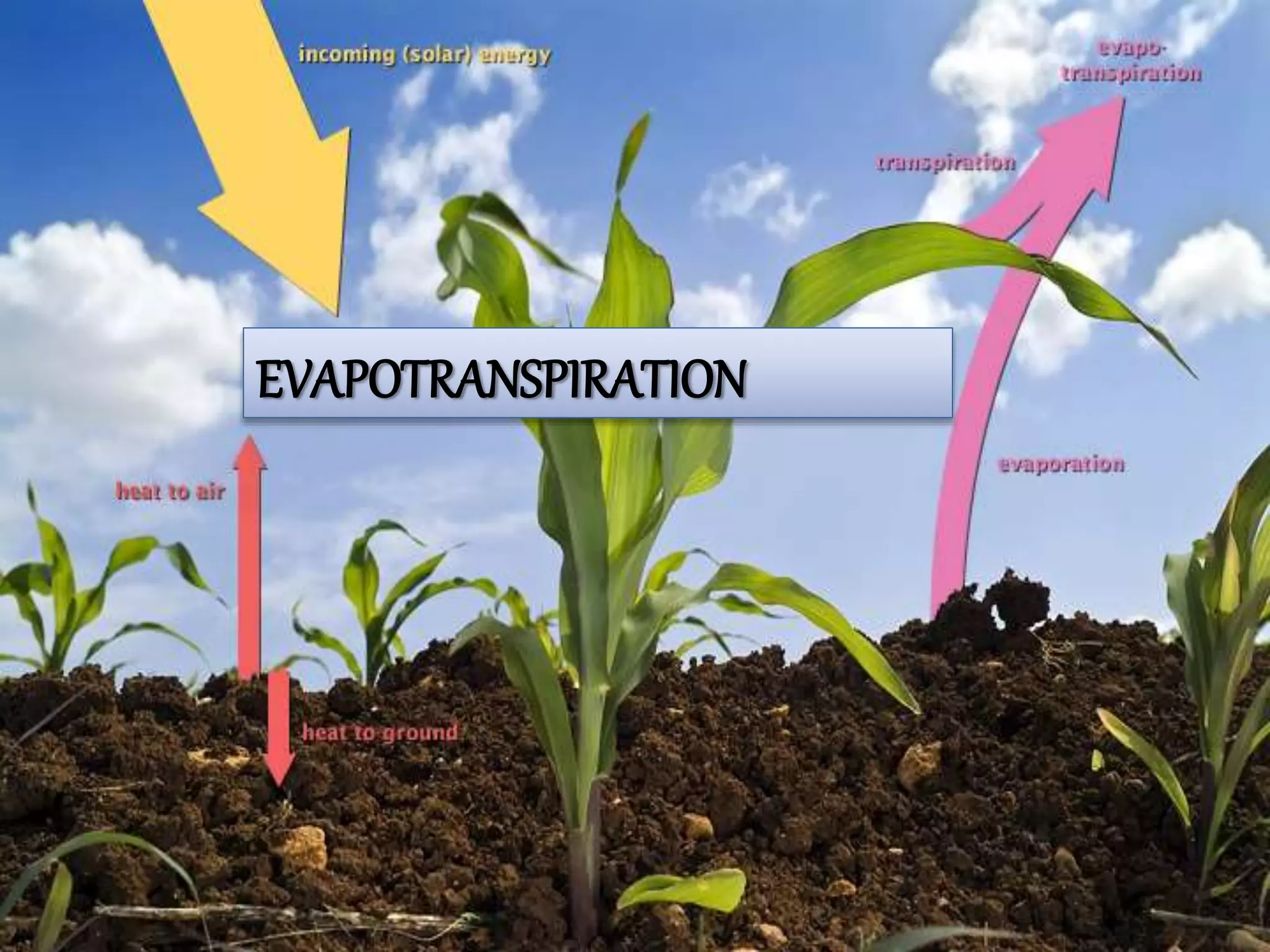 EVAPOTRANSPIRATION
 