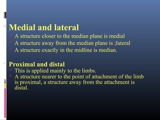 1 introduction to anatomy | PPT