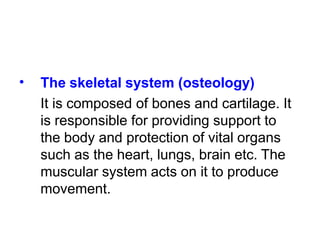 • The skeletal system (osteology)
It is composed of bones and cartilage. It
is responsible for providing support to
the body and protection of vital organs
such as the heart, lungs, brain etc. The
muscular system acts on it to produce
movement.
 