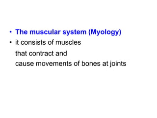 • The muscular system (Myology)
• it consists of muscles
that contract and
cause movements of bones at joints
 