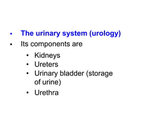 •
•
The urinary system (urology)
Its components are
• Kidneys
• Ureters
• Urinary bladder (storage
of urine)
• Urethra
 