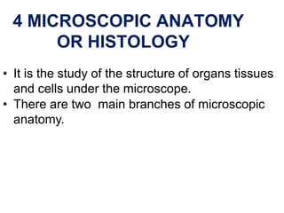4 MICROSCOPIC ANATOMY
OR HISTOLOGY
• It is the study of the structure of organs tissues
and cells under the microscope.
• There are two main branches of microscopic
anatomy.
 