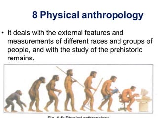 8 Physical anthropology
• It deals with the external features and
measurements of different races and groups of
people, and with the study of the prehistoric
remains.
 