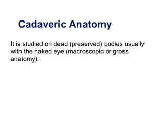 Cadaveric Anatomy
It is studied on dead (preserved) bodies usually
with the naked eye (macroscopic or gross
anatomy).
 