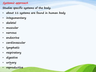 Systemic approach
Studies specific systems of the body.
• about 11 systems are found in human body
• integumentary
• skeletal
• muscular
• nervous
• endocrine
• cardiovascular
• lymphatic
• respiratory
• digestive
• urinary
• reproductive
10
Cardiovascular
Digestive
Endocrine
Execratory/Urinary
Integumentary
Lymphatic/Immune
Muscular
Nervous
Reproductive
Respiratory
Skeletal
 