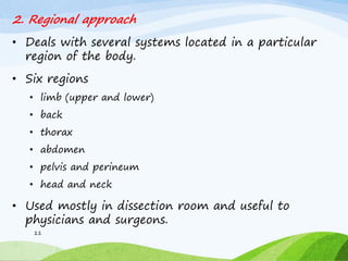 2. Regional approach
• Deals with several systems located in a particular
region of the body.
• Six regions
• limb (upper and lower)
• back
• thorax
• abdomen
• pelvis and perineum
• head and neck
• Used mostly in dissection room and useful to
physicians and surgeons.
11
 