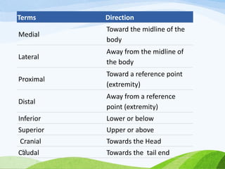 Terms Direction
Medial
Toward the midline of the
body
Lateral
Away from the midline of
the body
Proximal
Toward a reference point
(extremity)
Distal
Away from a reference
point (extremity)
Inferior Lower or below
Superior Upper or above
Cranial Towards the Head
Caudal Towards the tail end
23
 