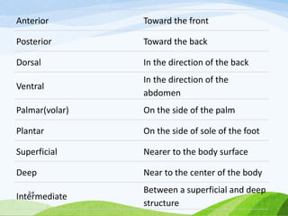 Anterior Toward the front
Posterior Toward the back
Dorsal In the direction of the back
Ventral
In the direction of the
abdomen
Palmar(volar) On the side of the palm
Plantar On the side of sole of the foot
Superficial Nearer to the body surface
Deep Near to the center of the body
Intermediate
Between a superficial and deep
structure
24
 
