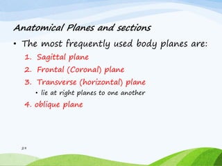 Anatomical Planes and sections
• The most frequently used body planes are:
1. Sagittal plane
2. Frontal (Coronal) plane
3. Transverse (horizontal) plane
• lie at right planes to one another
4. oblique plane
29
 