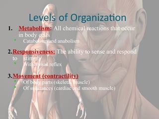 1 Introduction to anatomy and physiology.pptx
