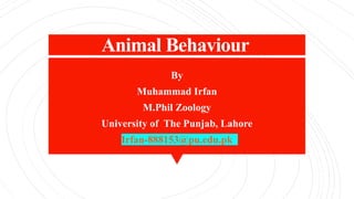 Animal Behaviour
By
Muhammad Irfan
M.Phil Zoology
University of The Punjab, Lahore
Irfan-888153@pu.edu.pk
 