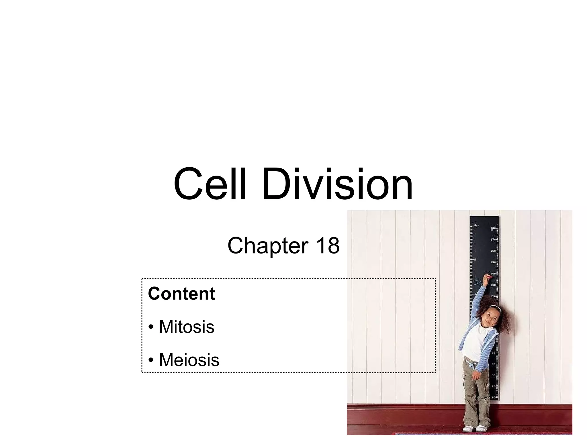 Cell Division Chapter 18 Content • Mitosis • Meiosis