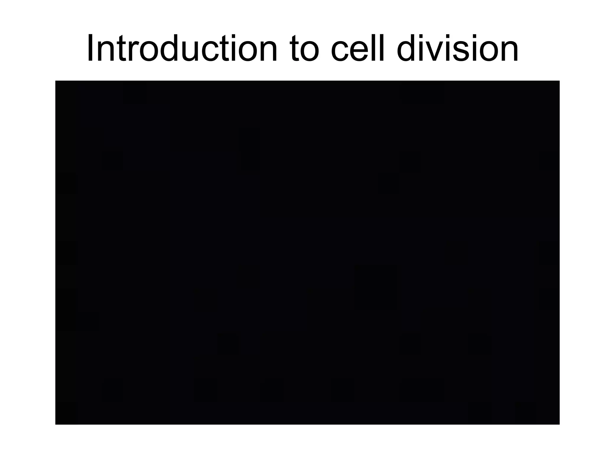 Introduction to cell division