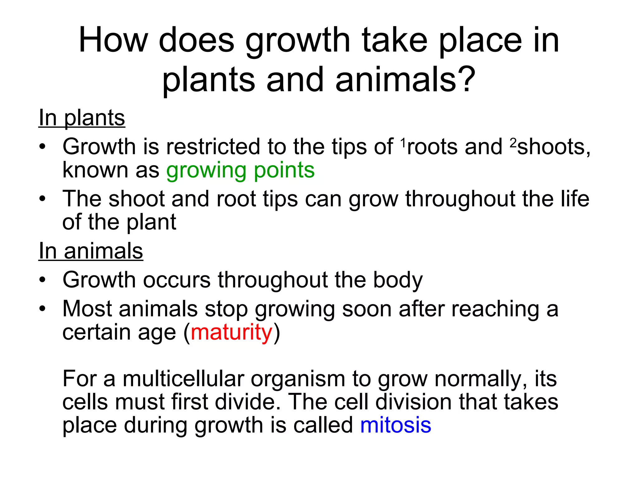 How does growth take place in plants and animals? In plants Growth is restricted to the tips of 1 roots and 2 shoots, known as growing points The shoot and root tips can grow throughout the life of the plant In animals Growth occurs throughout the body Most animals stop growing soon after reaching a certain age ( maturity ) For a multicellular organism to grow normally, its cells must first divide. The cell division that takes place during growth is called mitosis