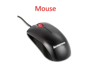Mouse
 