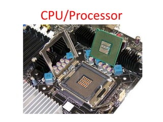 CPU/Processor
 